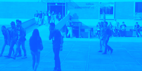 Desarrollo Docente