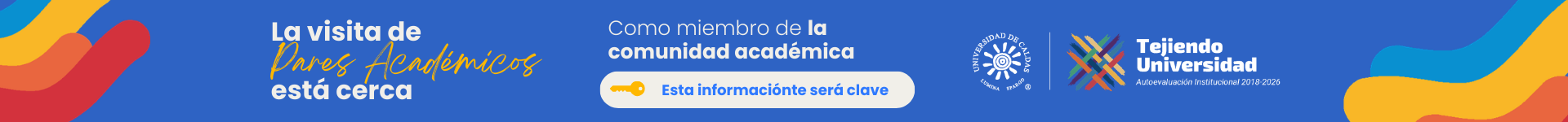 Reacreditación Institucional: Visita de Pares